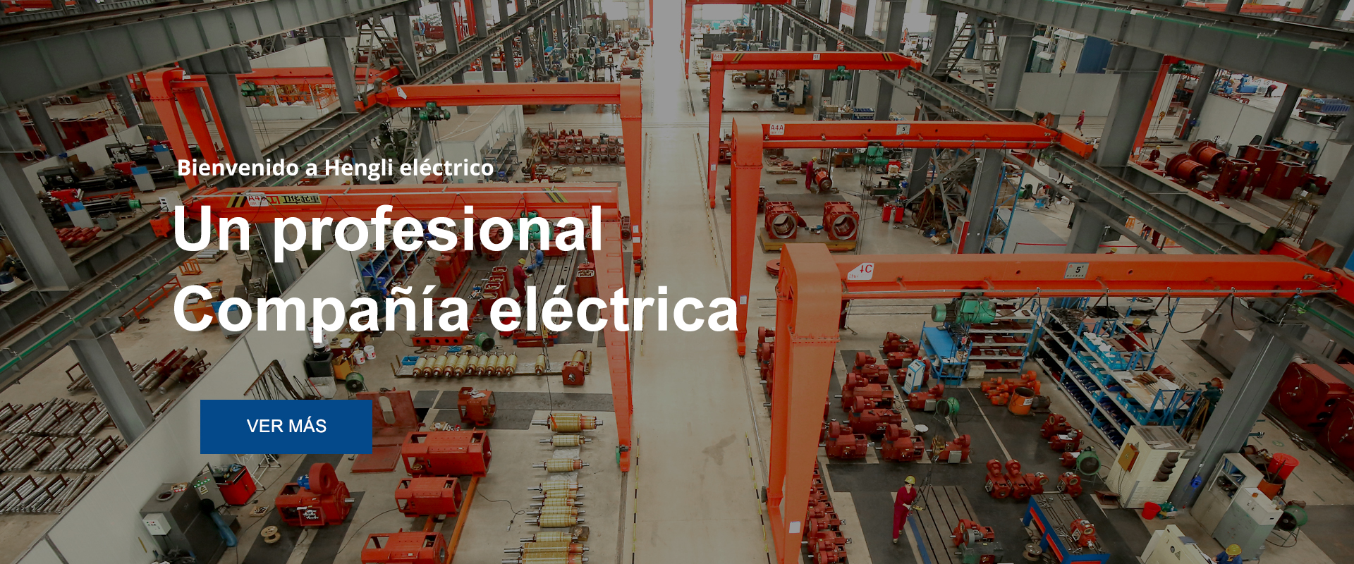 Perfil de la empresa 